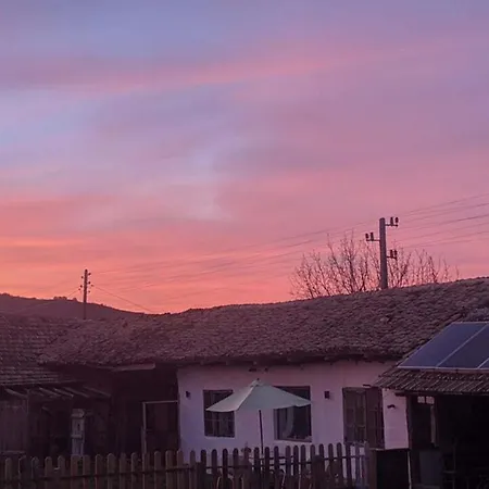 Serendipity Palamartsa * Palamarza