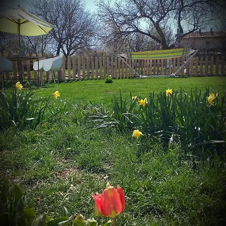 Serendipity Palamarza