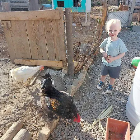 Serendipity Casa vacanze Palamarza