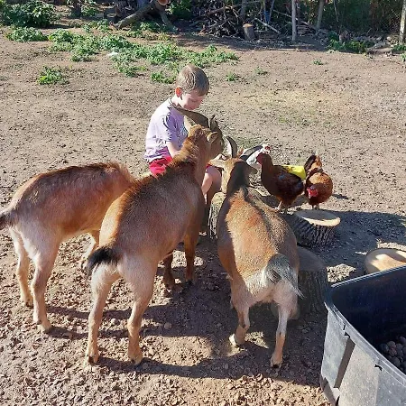 Casa vacanze Serendipity Palamarza