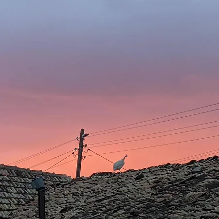 Vakantiehuis Serendipity Palamartsa *