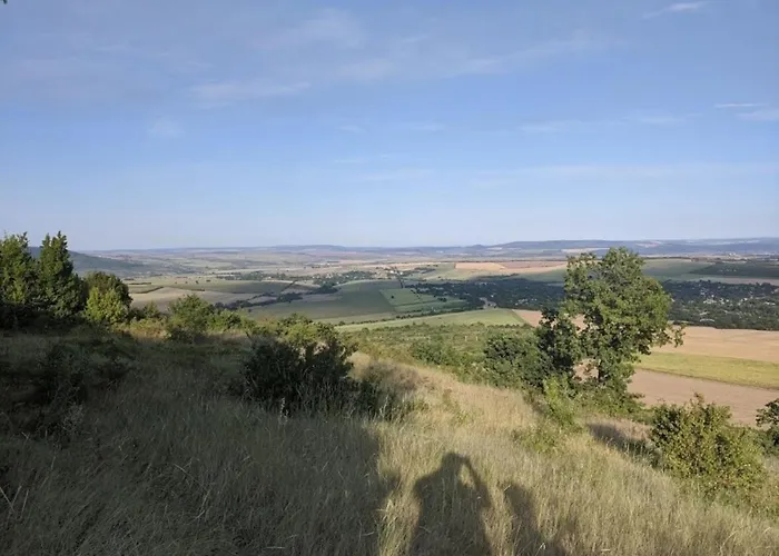 Σπίτι διακοπών Serendipity Palamartsa *