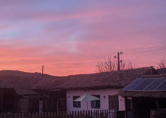 Serendipity Palamartsa * Palamarza