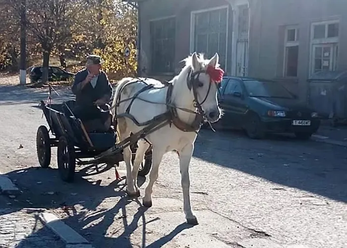 Serendipity Palamartsa Σπίτι διακοπών