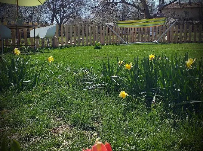 Serendipity Palamartsa Palamarza