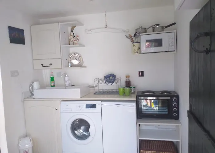 Serendipity Palamartsa *