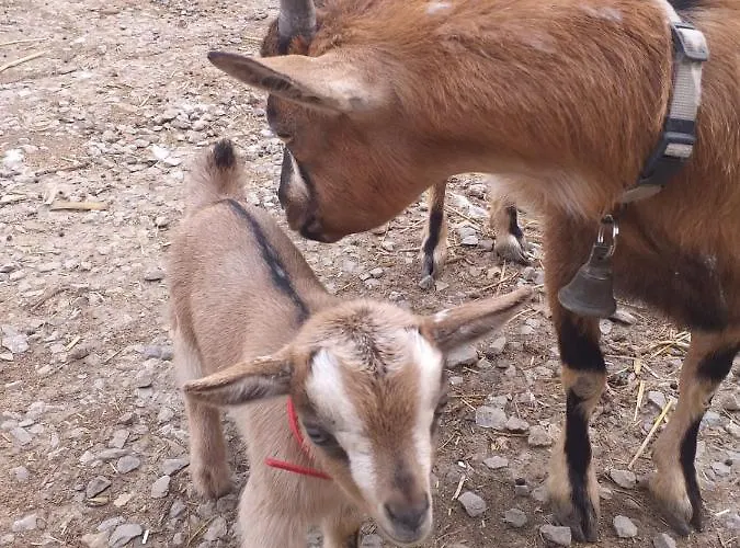 Serendipity Palamartsa Vakantiehuis Palamarza