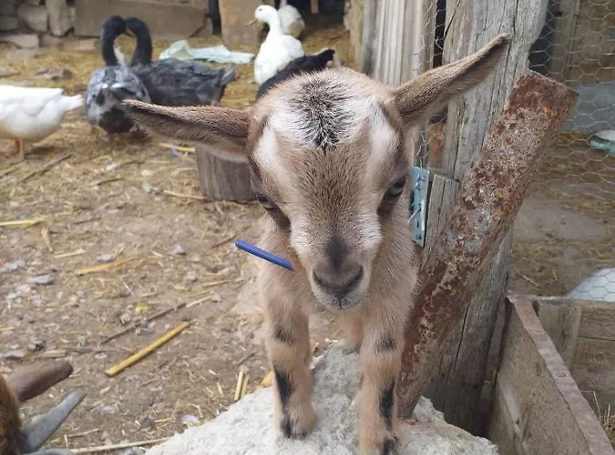 Serendipity Palamartsa Vakantiehuis *