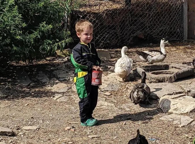 Vakantiehuis Serendipity Palamartsa *