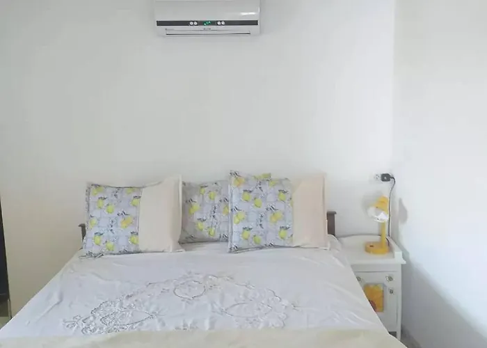 Serendipity Palamartsa * Palamarza