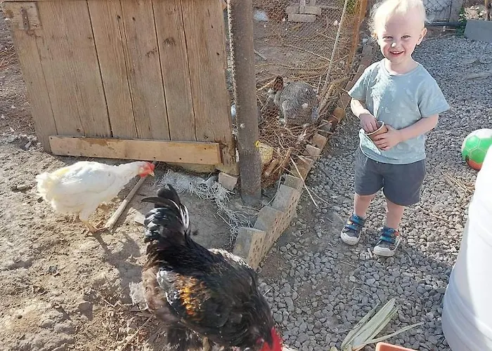 Serendipity Palamartsa Vakantiehuis Palamarza