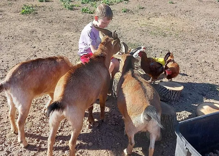 Σπίτι διακοπών Serendipity Palamartsa Palamarza