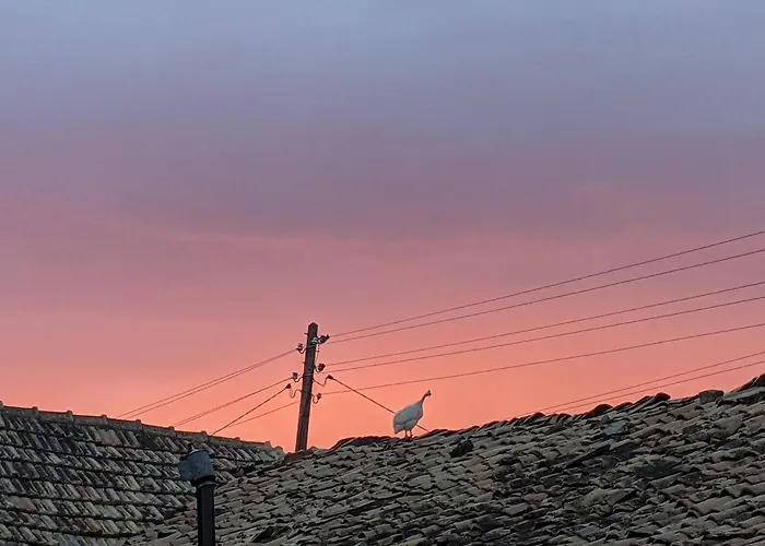 Vakantiehuis Serendipity Palamartsa *